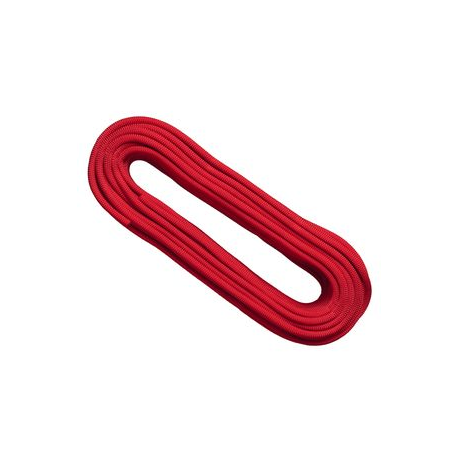 Rope Singing Rock Icon 9.3 DRY