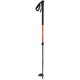 Poles CAMP Ski Drop