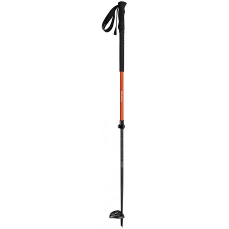 Poles CAMP Ski Drop