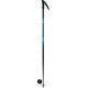 Slalomo lazdos Rossignol Tactic blue