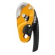 Descender Petzl Rig